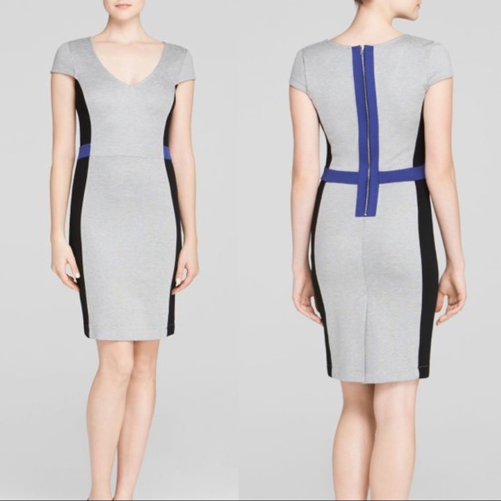 French Connection Bodycon Colorblock Dress